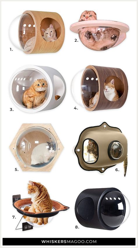 Cat Bed Ideas - Find your desired products at Amazon.com. Buy them TODAY! Cat Aquarium, Cat Dome, Cat Bed Ideas, Luxury Cat Furniture, Cat Pod, Bed Options, Cat Climbing Wall, Modern Cat Bed, Cat Area