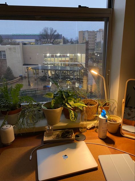 Desk In Front Of Window Aesthetic, Desk Window, Future Days, Tall Windows, Desk Inspo, Dream Room Inspiration, Office Setup, Desk Design, Rustic Cabin