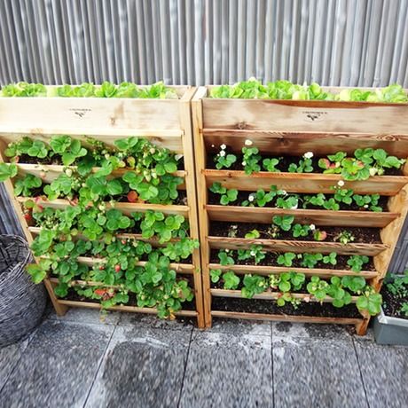 Vertical Strawberry Garden, Vertical Strawberries, Vertical Strawberry Planter, Vertical Container Gardening, Vertical Garden Planters, Strawberry Planters, Vertical Vegetable Garden, Vertical Herb Garden, Strawberry Garden