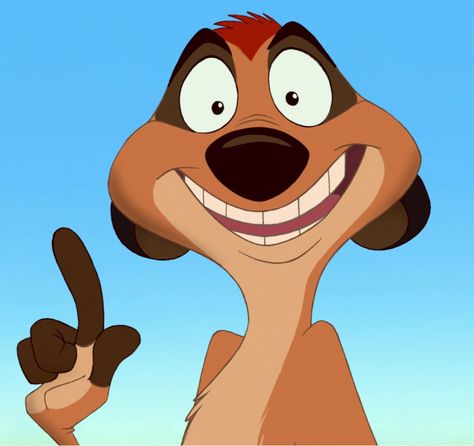 Timon from Lion King The Lion King, The Lion, Lion King, Lion