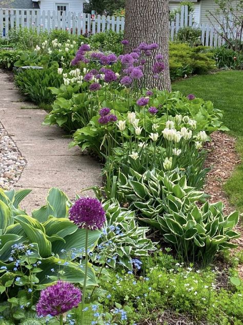 White And Purple Garden, Cottage Garden Ideas, Shade Garden Design, Backyard Plants, Back Garden Design, Garden Walkway, Garden In The Woods, Garden Borders, White Gardens