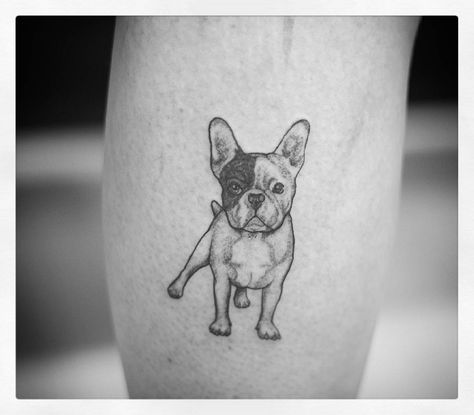 “Tattoo gostosa demais de fazer.. bulldog ❤❤❤ obrigada demais Naiara pela oportunidade!” Boston Terrier Tattoo, Terrier Tattoo, French Bulldog Drawing, French Bulldog Tattoo, Pug Tattoo, Sailor Tattoos, White French Bulldogs, Bulldog Tattoo, Sailor Tattoo