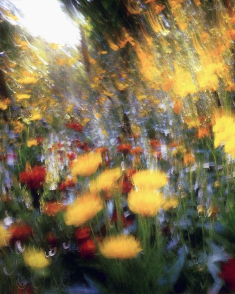 #NOWNESSweekly⁠: Blossoming dreams in a vivid blur submitted by @oum___b⁠ ⁠💐 ⁠ Are you a creative and want the chance to be featured on… | Instagram Blurred Images, Every Other Thursday, Blurred Vision, Blur Image, Artist Photography, 5 Senses, Abstract Floral Art, Art Memes, Digital Artists