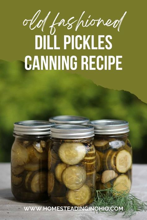 Garlic Dill Pickles Canning Recipes, Pickles Canning Recipes, Hamburger Dill Pickle Recipe, Zesty Dill Pickle Recipe, Crispy Dill Pickle Recipe, Dill Pickles Canning, Canned Dill Pickles, Easy Dill Pickle Recipe, Crispy Dill Pickles