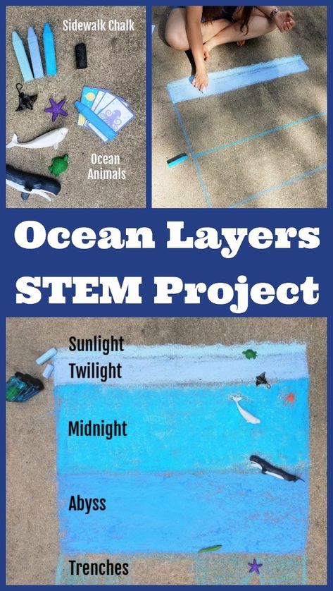 Ocean Layers STEM Activity for Kids - Edventures with Kids Ocean Layers, Stem Activity For Kids, Layers Of The Ocean, Ocean Zones, Outdoor Learning Activities, Ocean Unit, Math Activities For Kids, Ocean Activities, Stem Activity