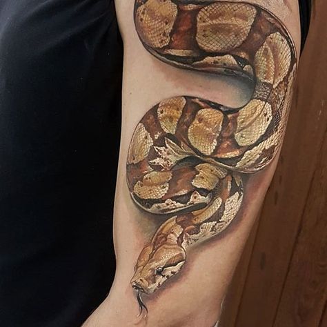 Boa constrictor by Led Coult #LedCoult #color #realism #snake #boa #reptile #tattoooftheday Boa Snake Tattoo, Traditional Snake, Traditional Snake Tattoo, Tattoo Snake, Serpent Tattoo, Snake Tattoos, Boa Constrictor, Snake Tattoo Design, Head Tattoo