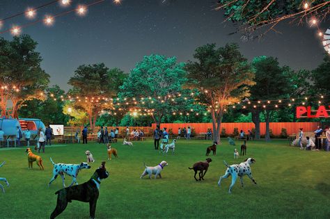 Pooch-friendly concept is now projected to open in phases, beginning around Halloween. Dog Park Design, Dog Sanctuary, Indoor Dog Park, Pet Cafe, Doggy Daycare, Ice House, Paw Paws, Dog Hotel, Dog Playground