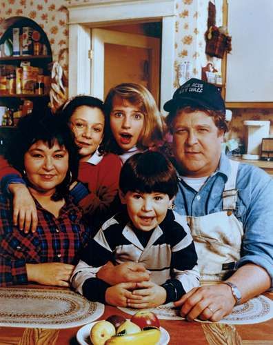 Dan Conner, Roseanne Tv Show, Roseanne Show, 80 Tv Shows, Sara Gilbert, Roseanne Barr, Dream Of Jeannie, Childhood Days, Stand Up Comedians