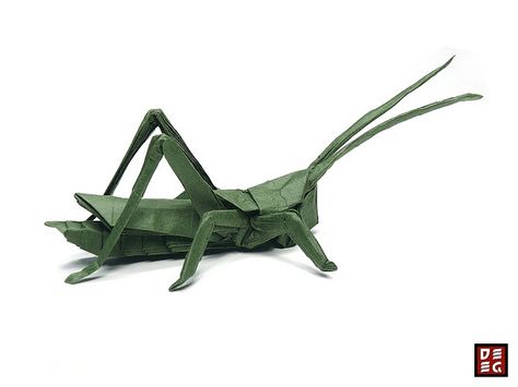 Origami Grasshopper by Faltkunst, via Flickr Origami Crocodile, Origami Grasshopper, Origami Frog Jumping, Science Flashcards, Origami Aquatic Animals, Origami Insects, Room Signage, Crafts Origami, Collage Board