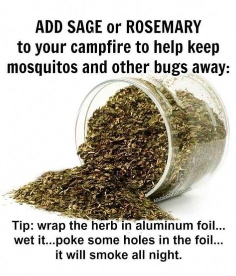 Outdoor Bug Repellent, Outdoor Skills, Cabin Trip, Camping Hacks Diy, Fall Camping, Survival Life Hacks, Healing Foods, Bug Repellent, Camping Stuff