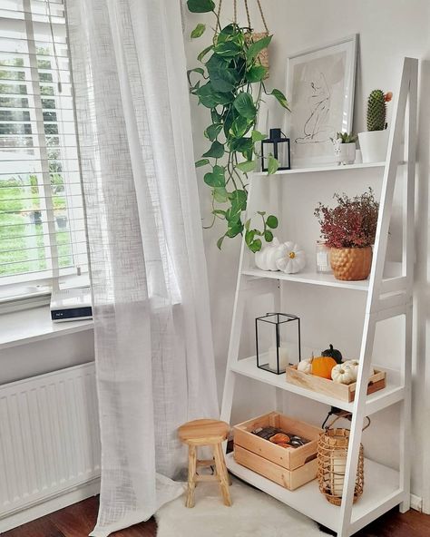 Ladder Shelf Decor Bedroom, Ladder Shelf Decor, Shelf Decor Bedroom, Aesthetic House, Diy Wall Art Decor, Ladder Shelf, Clothing Photography, Entry Table, Boy Clothes