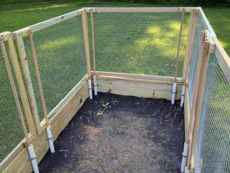 Chicken-wire fence panels for garden bed | Marginalia Raised Bed Fencing, Wire Fence Panels, Chicken Wire Fence, Raised Vegetable Gardens, Diy Garden Fence, Diy Garden Bed, Building Raised Garden Beds, Garden Fence Panels, Building A Raised Garden