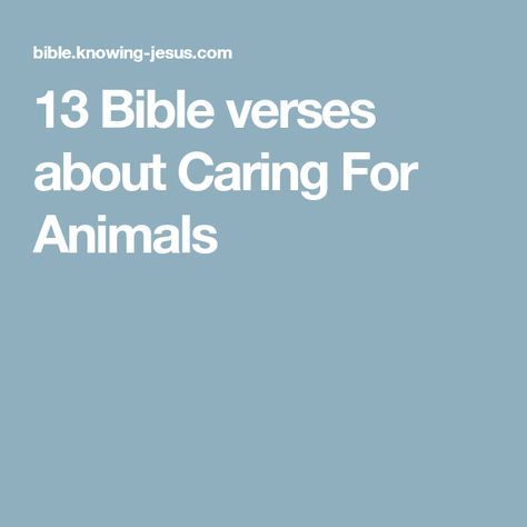 Animals In The Bible, Caring For Animals, Compassion Quotes, Love Scriptures, Youth Groups, Verses About Love, Everyday Prayers, Bible Verses About Love, Bible Passages