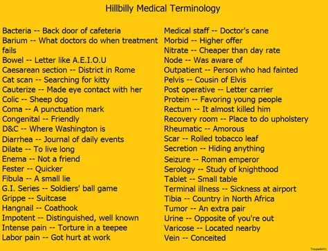 Hillbilly Medical Terms Hillbilly Medical Terms, Cat Scan, Medical Terminology, Medical Terms, Party Stuff, Nursing, Medical, Quick Saves