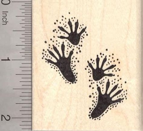 Raccoon Paw Print Tattoo, Raccoon Paw Print, Raccoon Paws, Racoon Tattoo, Diy Bottle Cap Crafts, Raccoon Drawing, Raccoon Tattoo, Raccoon Print, Paw Tattoo