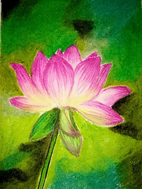 Lotus Flower Oil Pastel, Lotus Flower Drawing, Lotus Drawing, Lotus Image, Oil Pastel Drawings Easy, Oil Pastel Drawings, Angel Painting, The Medium, Oil Pastels