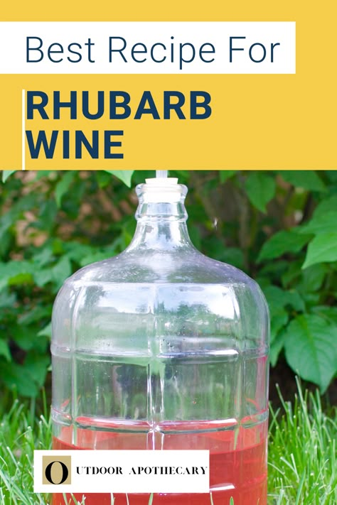 Wine Recipes Homemade, Rhubarb Moonshine Recipe, Rhubarb Drinks Cocktails, Rhubarb Wine Recipe Easy, Rhubarb Liquor Recipe, Rhubarb Wine Recipe, Rhubarb Liqueur Recipes, Fruit Wine Recipes, Rhubarb Schnapps