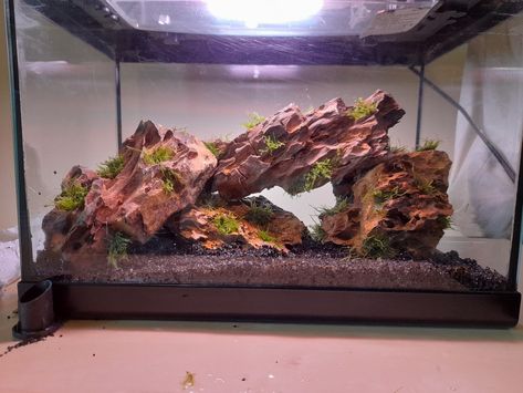 A 30 liter aquarium with dark soil and 4 'Dragon' stones stacked on each other. Moss (taxiphyllum barbieri) is attached to the grooves of the stones with a special glue that isn't toxic to the fishes. Ohko Stone Aquascape, River Rock Aquarium, Dragon Rock Aquascape, Dragon Stone Aquarium, Dragonstone Aquascape, Mountain Aquascape, Dragon Stone Aquascape, Aquascape Driftwood, Rice Patty