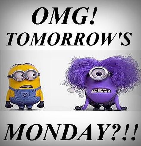 OMG tomorrow is Monday Tomorrow Is Monday, Slaap Lekker, Minion, Back To School, Disney Characters, Disney, Funny, Fictional Characters, Quick Saves