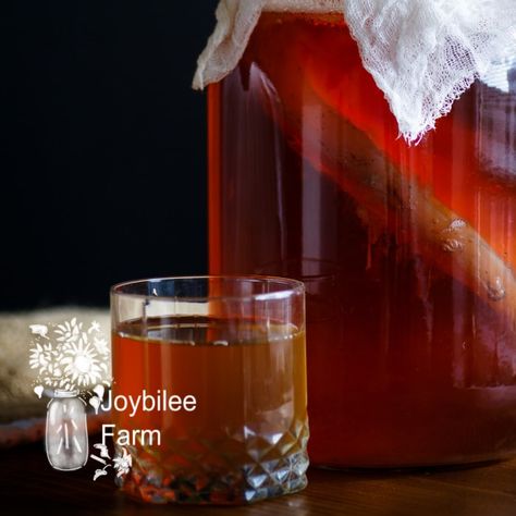 Get These 18 Kombucha Tea Benefits for Pennies a Dose Muscadine Wine, Ginger Bug, Gallon Glass Jars, Kombucha Recipe, Homemade Kombucha, Homemade Soda, Kombucha Tea, Homemade Wine, Tea Benefits