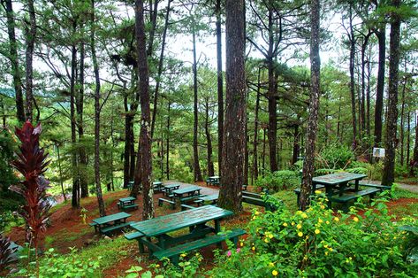 Lions Head Baguio, Camp John Hay Baguio, Baguio Tourist Spots, Baguio City Photography Landscape, Session Road Baguio City, Camp John Hay, Tacloban City, Baguio City, Cebu City