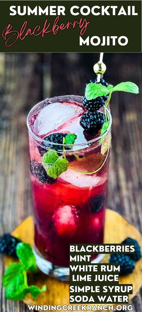 Blackberry mojito in a tall glass, garnished with blackberries and mint leaves. Blackberry Mojito Recipe, Mojito Recipe Pitcher, Best Mojito Recipe, Blackberry Mojito, Easy Brunch Ideas, Ranch Recipes, Mint Cocktails, Raspberry Mojito, Blended Cocktail