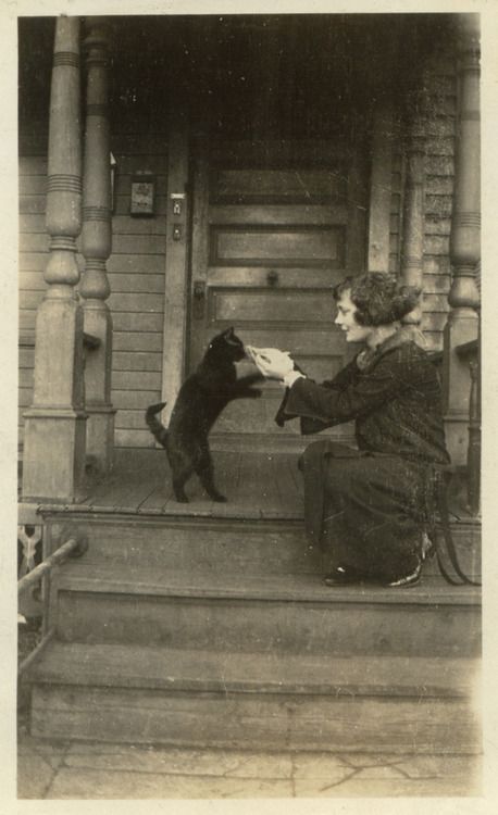 She And Her Cat, Vintage Foto's, Chat Kawaii, Cat Eating, Vintage Cats, Portrait Vintage, Dancing Cat, Cat Photos, Cat People