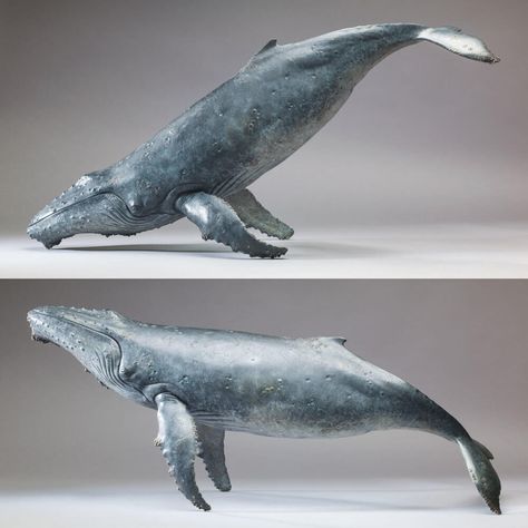 Whale Sculpture, Whale Swimming, Whale Drawing, Beluga Whale, Whale Art, Animal Sculpture, A Whale, Rare Animals, Pet Rats