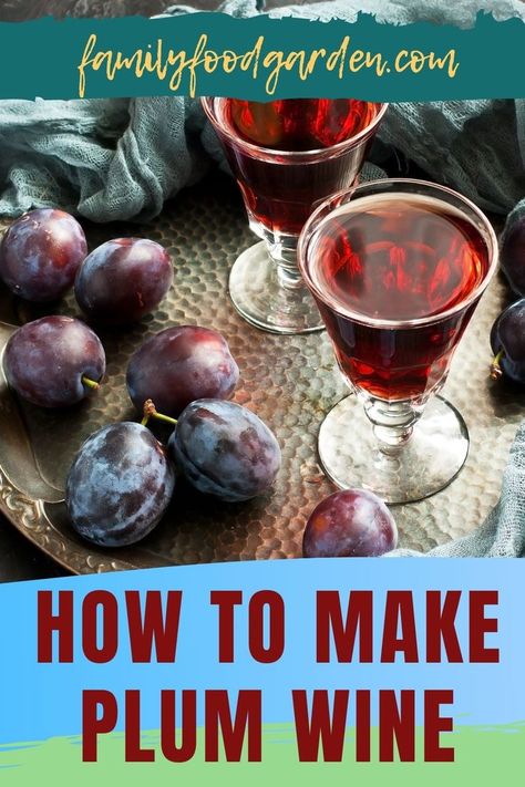 If you have an abundance of plums that you’re not sure what to do with, you could try our guide on how to make plum wine. Using sweet plums only will produce a type of dessert wine, and if you’d rather enjoy a more balanced wine, combine sweet and tart plums. We recommend using Yellow, sweet, greengage, or damson plums. For a complete list of supplies, a few winemaking basics, and a delightful recipe, check out our article here. #HowToMakePlumWine #PlumWine #MakeWine #WineMaking Wild Plum Wine Recipe, Japanese Plum Wine, What To Do With Plums, Plum Wine Recipe, Plum Ideas, Fruit Vinegar, Wine Making Recipes, Homemade Wine Recipes, Plum Juice