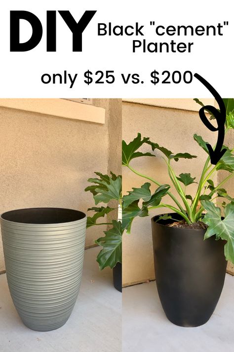 $25 verses $200! Click the link for the full tutorial to see how to diy your own large cemement planter! In matter black or any other color! Diy Cheap Planters, Big Planters Outdoor Ideas Diy, Diy Large Pots For Plants, Diy Large Plant Pot, Diy Tree Planter, Black Pots Planters, Ceramic Planters Ideas, Diy Large Planters Outdoor, Diy Big Planters Pots