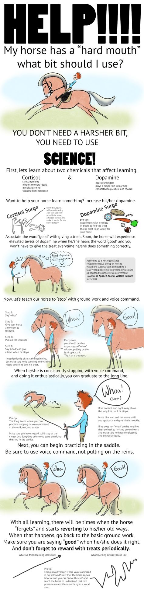 Desensitizing Horses, Horse Tutorial, Training Horses, Horseback Riding Tips, Horse Lessons, Horse Information, Riding Tips, Horse Exercises, Horse Care Tips