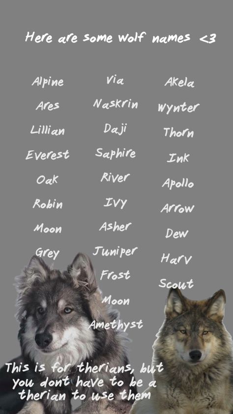 Male Wolf Names, Therian Name Ideas, Therian Names, Therian Den, Wolf Names, Therian Tips, Therian Stuff, Oc Maker, Dog Quotes Love