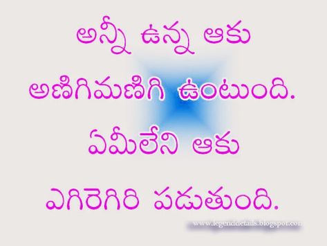 Best Telugu Proverbs|| Samethalu || Popular Telugu Proverbs | Legendary Quotes Enemy Quotes, Telugu Love Quotes, Good Proverbs, Quotes Birthday Wishes, Life Lessons Quotes Relationships, Legendary Quotes, Deep Relationship Quotes, Mind Blowing Quotes, Quotes In Telugu