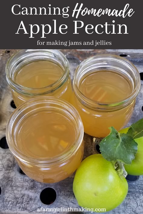 Set jams and jellies with a homemade apple pectin. This homemade natural apple fruit pectin eliminates the need for a commercial powder or liquid product. #canning #diypectin #homemadepectin How To Make Apple Pectin, Apple Pectin Benefits, Apple Pectin Recipe, Homemade Pectin, Canning Jelly, Canes Food, Preserving Fruit, Pickled Apples, Pectin Recipes