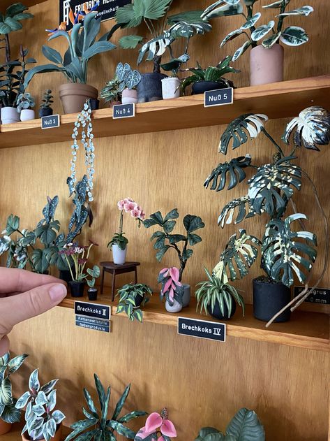 MINIATURE PLANTS - ASTRID WILK STUDIO - MINIATURES Dollhouse Conservatory, Polymer Clay Plants, Mini Plants Diy, Clay Plants, Tiny Polymer Clay, Flowers Display, Bake Polymer Clay, Plants Diy, Polymer Clay Flower Jewelry