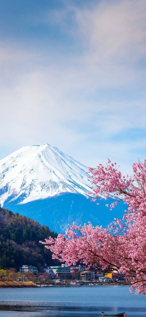 Wallpaper Heaven, Gunung Fuji, Lovely Scenery, Cherry Blossom Wallpaper, Monte Fuji, Nature Sketch, Galaxy Wallpaper Iphone, Japanese Drawings, Scenery Photography