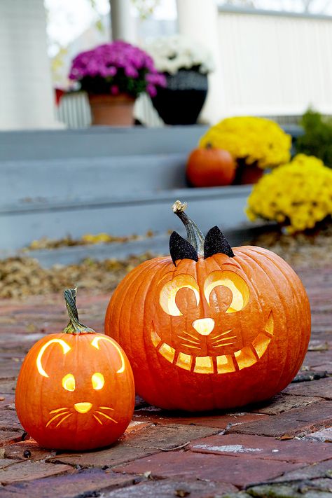 Small Pumpkin Carving Ideas, Kids Pumpkin Carving, Pumpkin Carving Stencils Free, Pumpkin Cravings, Gingerbread Ideas, Cute Pumpkin Carving, Halloween Pumpkin Carving Stencils, Halloween Decor Diy, Pumpkin Carving Party