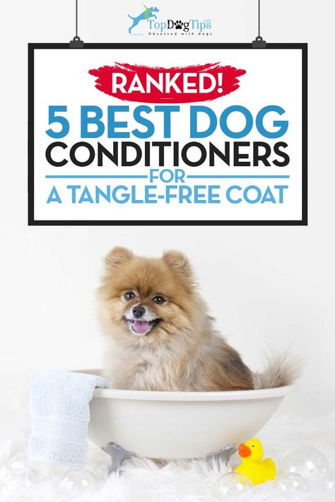 Top Best Dog Conditioner Coconut Oil Dogs Skin, Body Wash Recipe, Diy Conditioner, Best Dog Shampoo, Meds For Dogs, Puppy Shampoo, Coconut Oil For Teeth, Coconut Oil For Dogs, Dog Conditioner