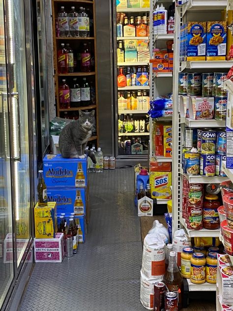 i love you deli cat Deli Aesthetic, Nyc Childhood, Nyc Deli Aesthetic, Nyc Nostalgia, New York Bodega, New York Deli Aesthetic, Cat Bookstore Aesthetic, Nyc Deli, Cats In New York