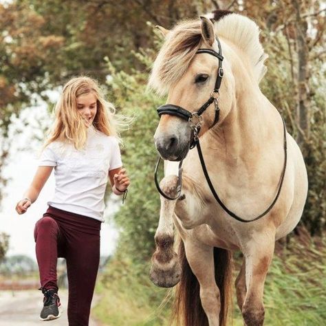 New Blog! 📝 Natural Horsemanship : What is it all about? 🤔 We are delighted to be stocking a new brand which holds Natural horsemanship at its core. Freedom Riding Articles produce top quality bareback pads, bitless bridles and many other accessories to help you on your natural horsemanship journey. Read more about them here 👇 https://loom.ly/rPhOmBc #randrcountry #naturalhorsemanship #freedomridingarticles #joinupmethod #horses #equine #horseriding #barebackpad #bitlessbridle Largest Horse Breed, Fjord Horse, Horse Photographer, Horse Facts, Natural Horsemanship, Dream Horse, Equine Photographer, Equine Photography, Cute Horses