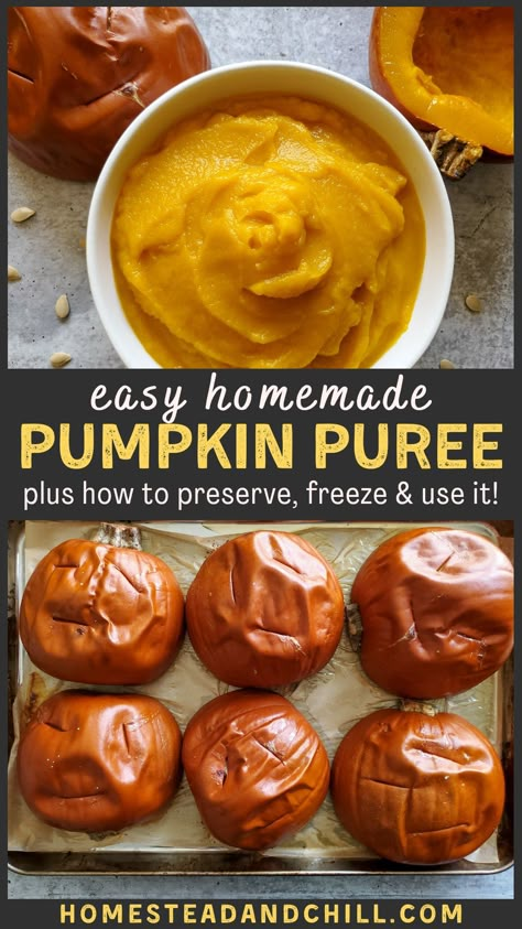 How To Make Pumpkin Puree From Fresh Pumpkin, Pumpkin Puree From Real Pumpkin, How To Get Pumpkin Puree From A Pumpkin, How To Make Your Own Pumpkin Puree, How To Pumpkin Puree, Bake A Pumpkin For Puree, Freezer Pumpkin Pie Filling, Homemade Pumpkin Pie Filling For Canning, How To Prepare Pumpkin For Baking