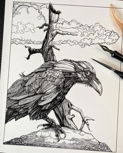 Ink Bird Drawing in Black and White Raven Illustration, Ink Line Art, Fox Tattoo Design, Ink Doodles, Raven Art, White Drawing, Illustration Pen And Ink, Black And White Drawing, Line Illustration