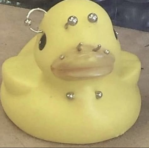 Playlist Covers, Rubber Duck, Me Fr, My Aesthetic, Piercings, Brain, Random Stuff, My Saves, Memes