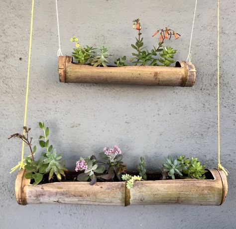 Bamboo Planters, Best Office Plants, Bamboo Diy, Creative Planter, Bamboo Planter, Bamboo Decor, Succulent Planters, Bamboo Art, Deco Nature