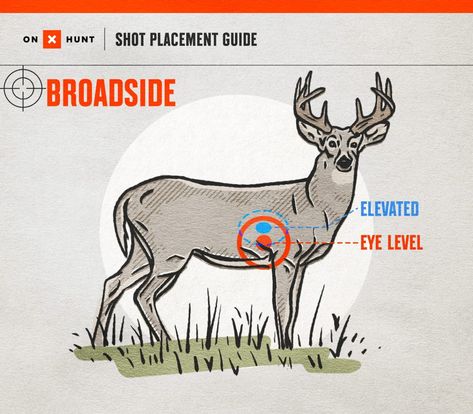 Deer Shot Placement, Where To Shoot A Deer, Deer Shot, Deer Feeders, Whitetail Deer Hunting, Buck Deer, Country Stuff, Free Chart, Hunting Tips