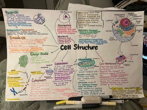 Biomolecules Mind Map, Cell The Unit Of Life Mind Map, Biology Concept Map, Biomolecules Poster, Cell Theory Notes, Biochemistry Poster, Physics Flashcards, Cell Biology Notes, Bio Notes