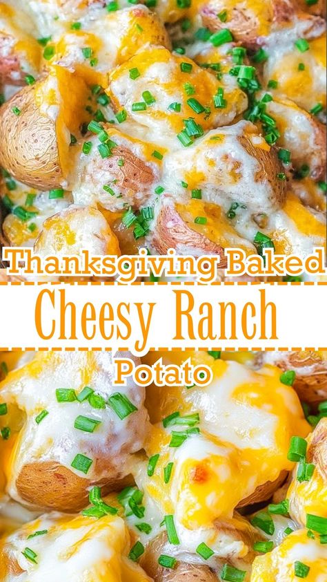 Thanksgiving Baked Cheesy Ranch Potatoes Ranch Potatoes Recipes, Ranch Dressing Potatoes Baked, Roasted Cheese Potatoes, Potato Recipes With Cream Cheese, Ranch Baby Potatoes, Cheesy Ranch Potatoes Bake, Cheesy Russet Potato Recipes, Cheesy Red Potato Recipes, Easy Cheesy Potatoes With Real Potatoes