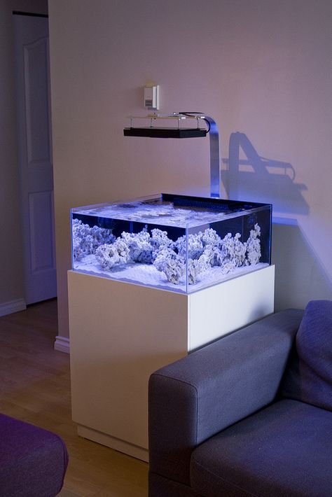 Nano Reef Tank, Rimless Aquarium, Coral Reef Aquarium, Amazing Aquariums, Taman Air, Cool Fish Tanks, Saltwater Fish Tanks, Fish Tank Design, Diy Aquarium