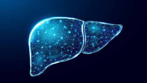 New drug could help livers self-regenerate and end organ transplant waits Liver Failure, Organ Transplant, Cell Line, Cell Division, Viral Infection, Science News, Over Dose, Blood Vessels, Health Science