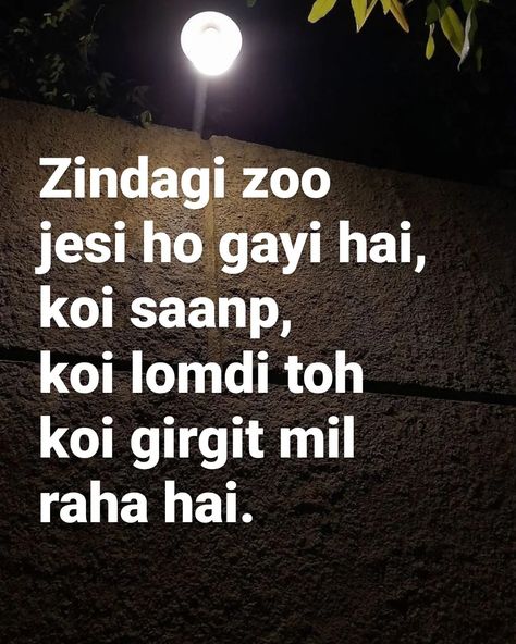 Funny Quotes In Hindi Jokes, Funny Shayari Hindi Jokes, Funny Lines In Hindi, Funny Shayari Hindi, Hindi Funny Quotes, Funny Bio Quotes, Funny Bio, Really Funny Quotes, Funny Shayari